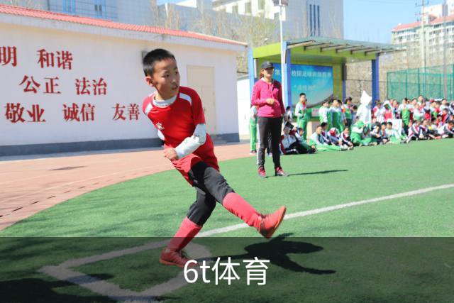 6t体育公司介绍图